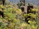 墨尔本：大火后重建的景观度假屋，居住在自然中